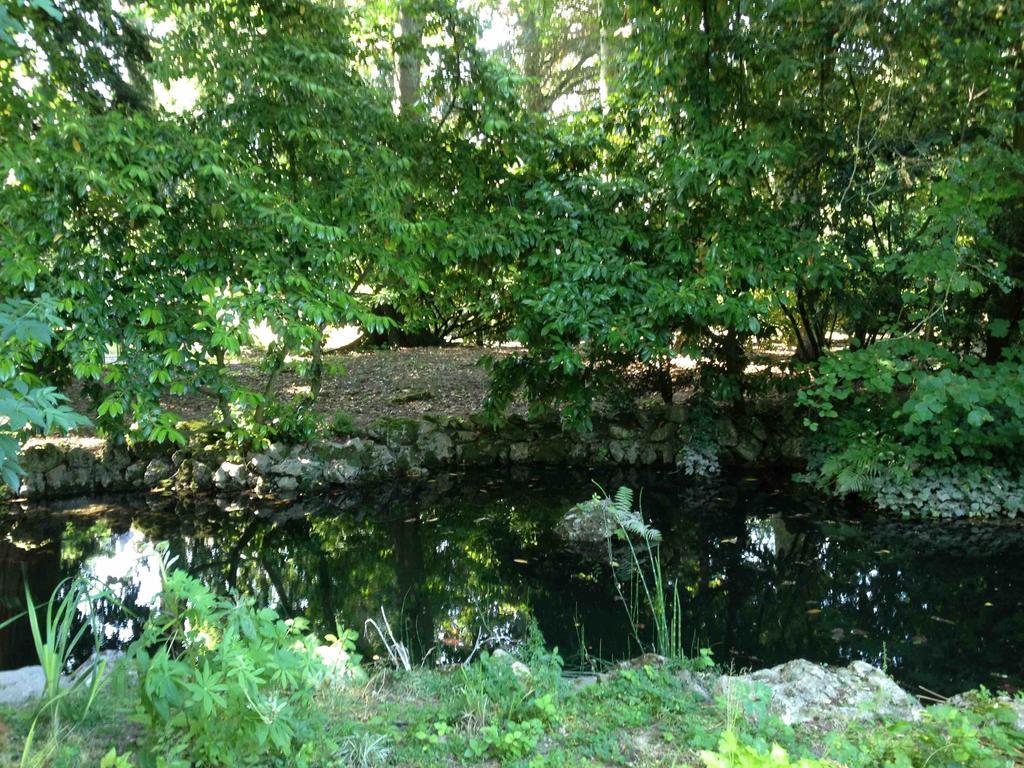 Chambre D'Hotes Les Rives De La Tronne Mer Bagian luar foto